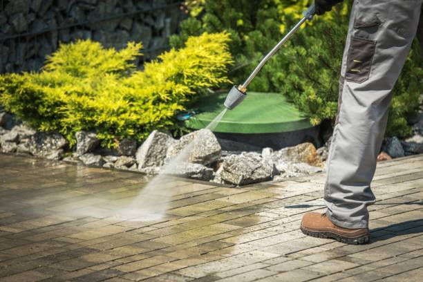 Best Roof Washing  in Weston, NJ